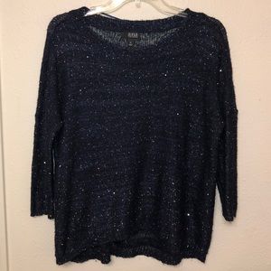 Navy Glittery Sweater